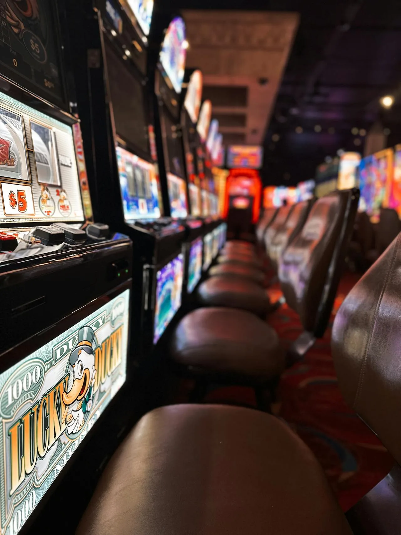 Starlight Princess 1000 (Pragmatic Play) — MSZN logs feature-trigger distribution across 7,800 spins, p50 at 188, multiplier-stack sample